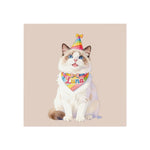 Celebration Pet Magnet (Booth) — Dusty Pink