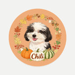 Fall Wreath Pet Coaster (Booth) — design 2