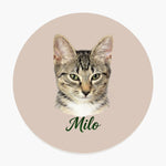 Pencil Art Pet Coaster (Booth) — Dusty Pink