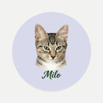Pencil Art Pet Coaster (Booth) — Lavender