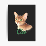 Unframed colored pencil print of a ginger Abyssinian cat on a charcoal gray background, with the name "Cleo" drawn below.