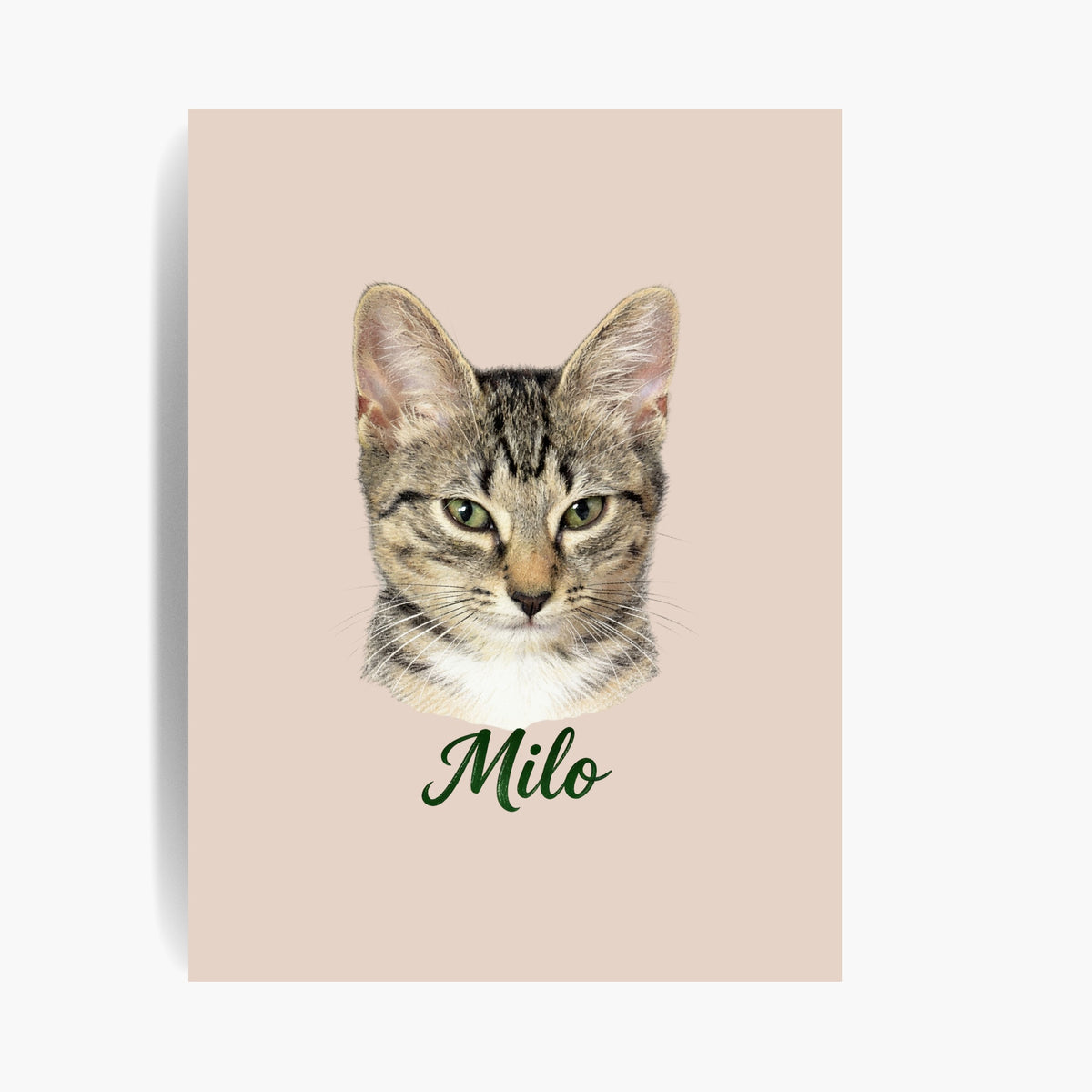 Unframed colored pencil print of a tabby cat on a dusty pink background, with the name "Milo" drawn below.