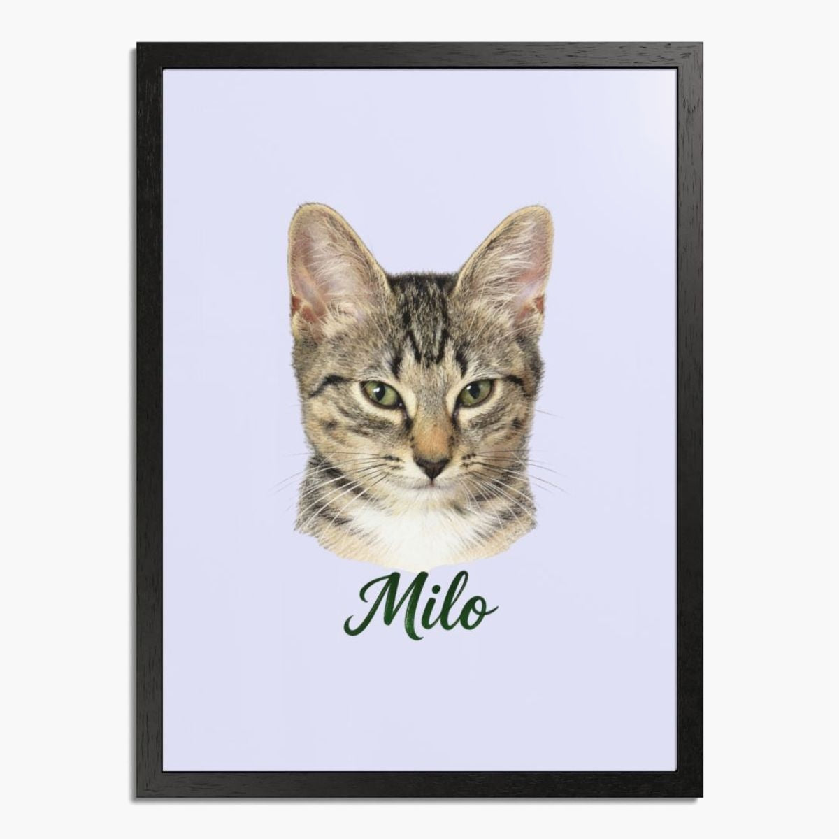 Colored pencil portrait of a tabby cat on a lavender background, framed in black wood, with the name "Milo" drawn below.