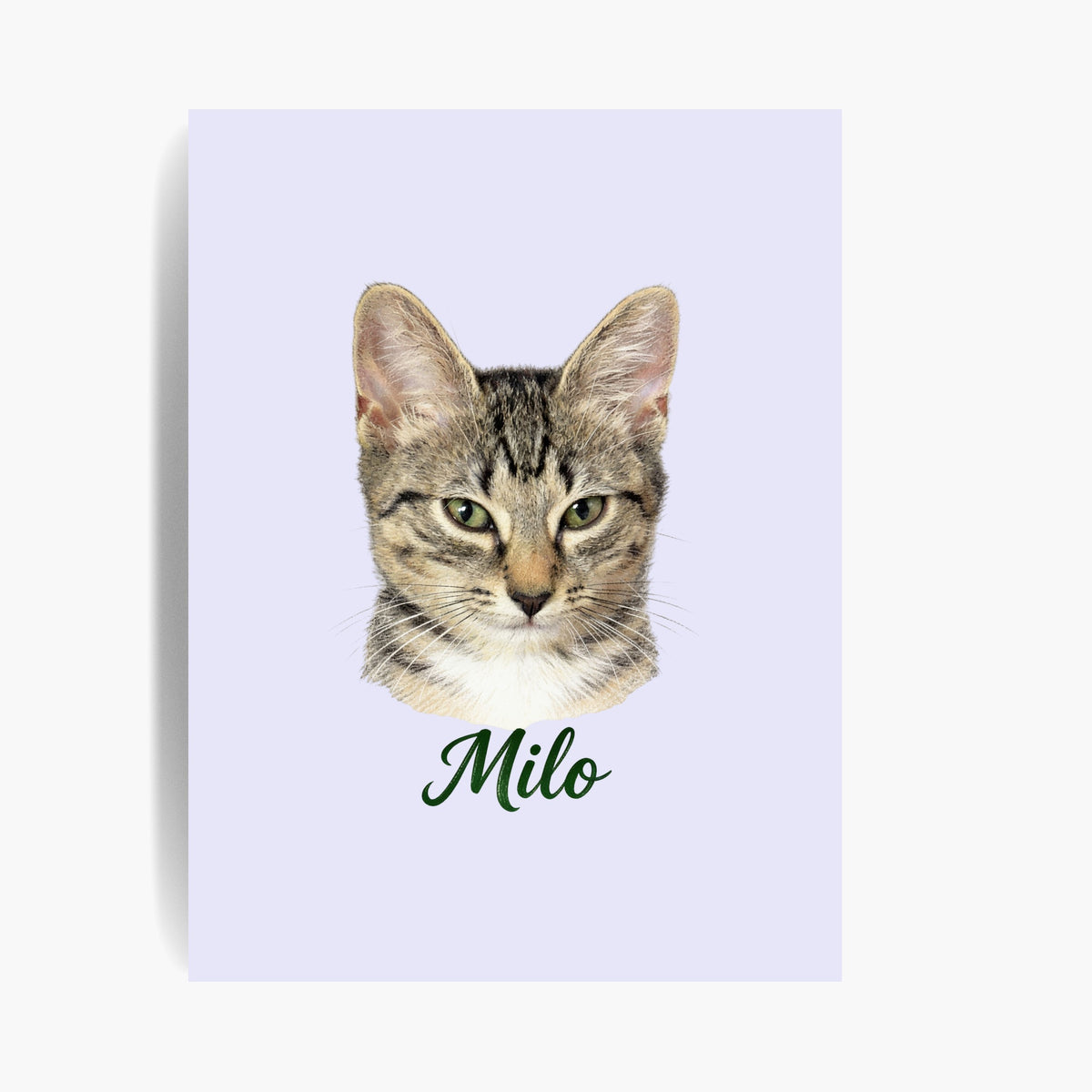 Unframed colored pencil print of a tabby cat on a lavender background, with the name "Milo" drawn below.
