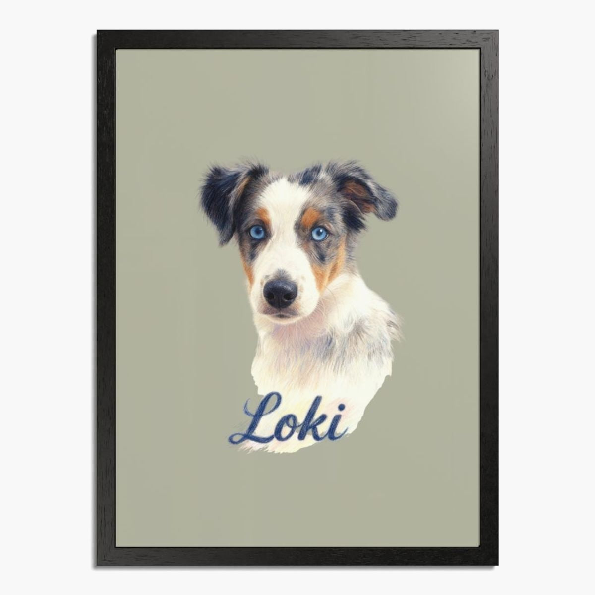 Colored pencil portrait of a blue merle Australian shepherd puppy on a sage background, framed in black wood, with the name "Loki" drawn below.
