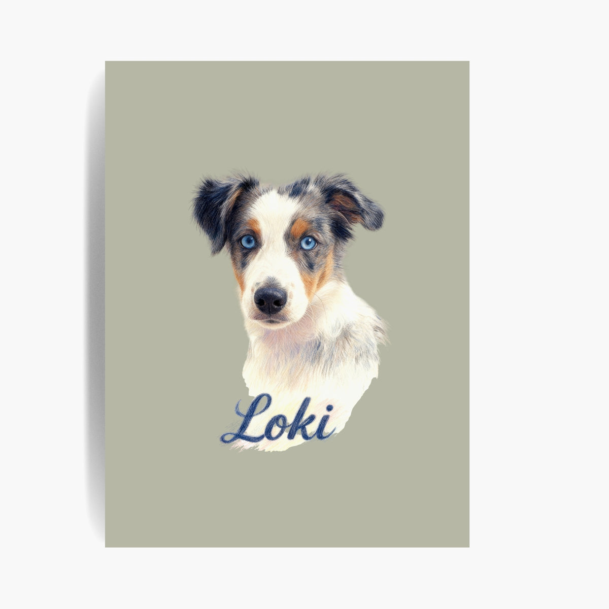 Unframed colored pencil print of a blue merle Australian shepherd puppy on a sage background, with the name "Loki" drawn below.