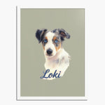Colored pencil portrait of a blue merle Australian shepherd puppy on a sage background, framed in white wood, with the name "Loki" drawn below.