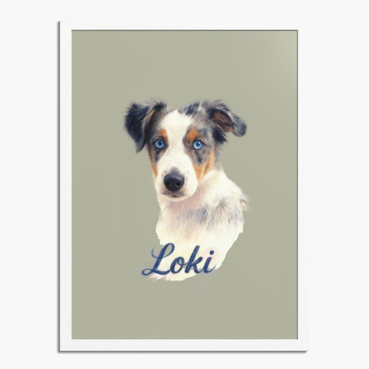 Colored pencil portrait of a blue merle Australian shepherd puppy on a sage background, framed in white wood, with the name "Loki" drawn below.