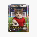 soccer-card-poker-playing-cards-cat