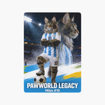 soccer-poster-poker-playing-cards-cat