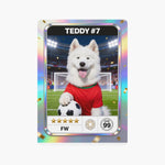 soccer-card-poker-playing-cards-dog