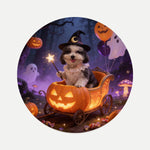 Pumpkin Cart Pet Coaster (Booth) — design 1