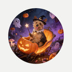Pumpkin Cart Pet Coaster (Booth) — design 3