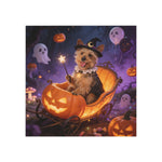 Pumpkin Cart Pet Magnet (Booth)