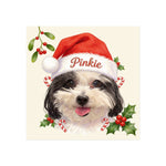 Santa Hat Pet Magnet (Booth) — Beige