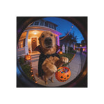 Trick or Treat Pet Magnet (Booth)