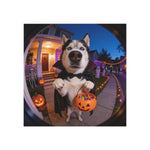 Trick or Treat Pet Magnet (Booth)