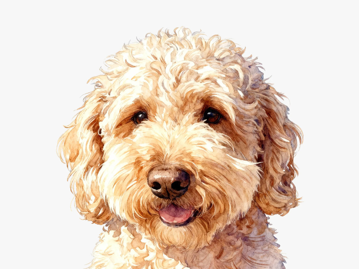Why InstaMe, custom pet portrait