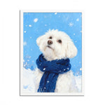 Winter Snow Pet Portrait (Booth)