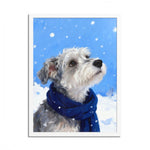 Winter Snow Pet Portrait (Booth)